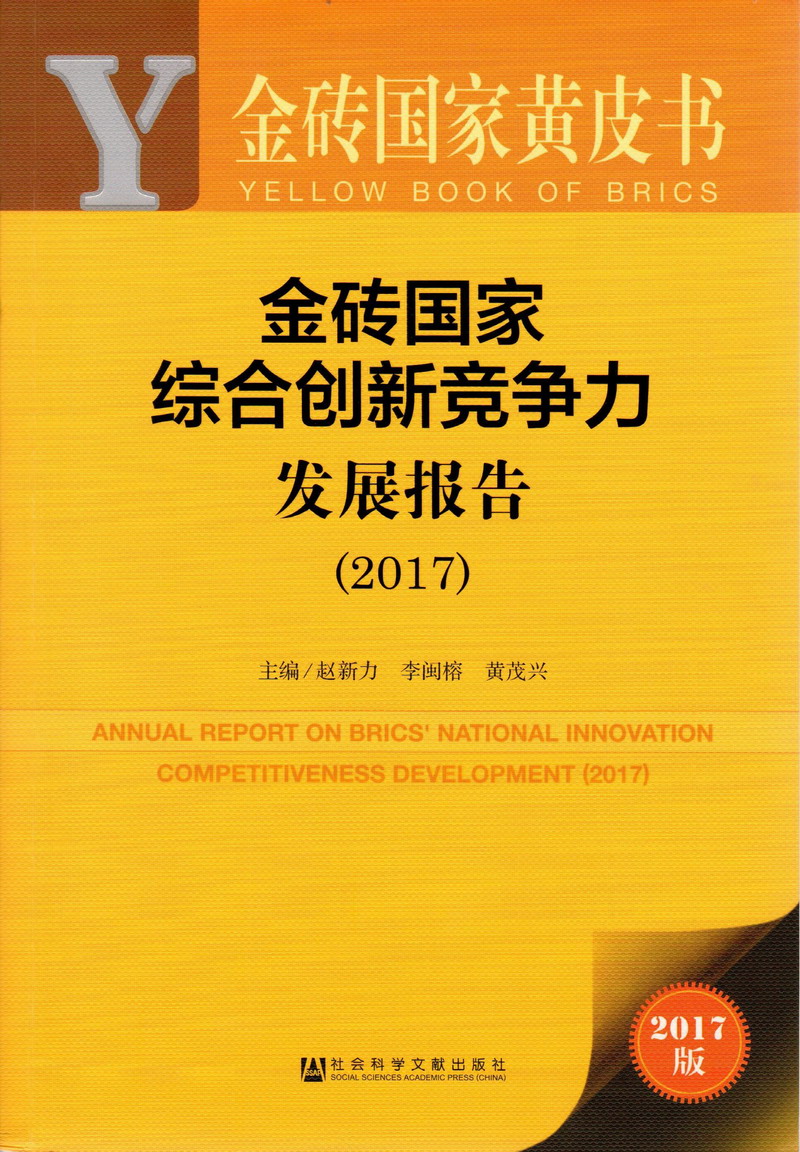 大鸡吧操B视频啊啊金砖国家综合创新竞争力发展报告（2017）